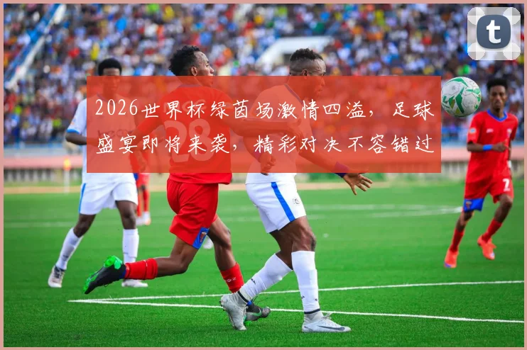 2026世界杯绿茵场激情四溢，足球盛宴即将来袭，精彩对决不容错过，锁定观赛佳期
