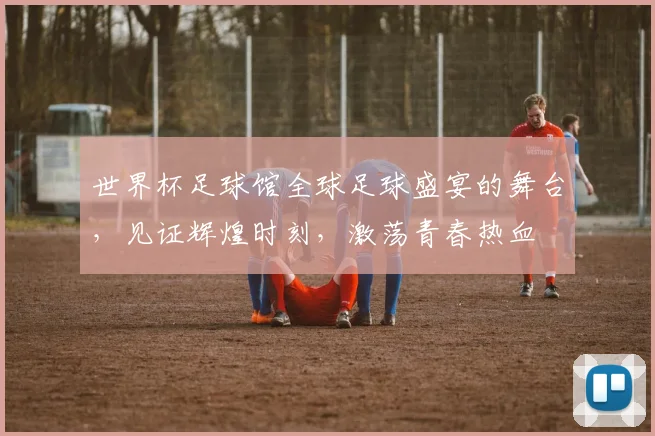 世界杯足球馆全球足球盛宴的舞台，见证辉煌时刻，激荡青春热血
